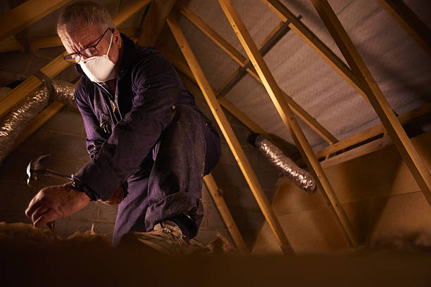 Best Eco-Friendly Insulation in Darien Downtown, CT