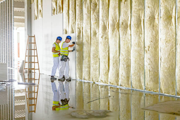 Best Geographic-Specific Insulation Services in Darien Downtown, CT